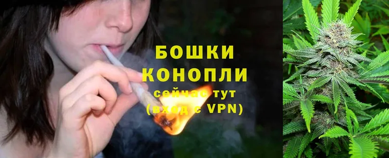 kraken tor  как найти закладки  Белозерск  Конопля White Widow 